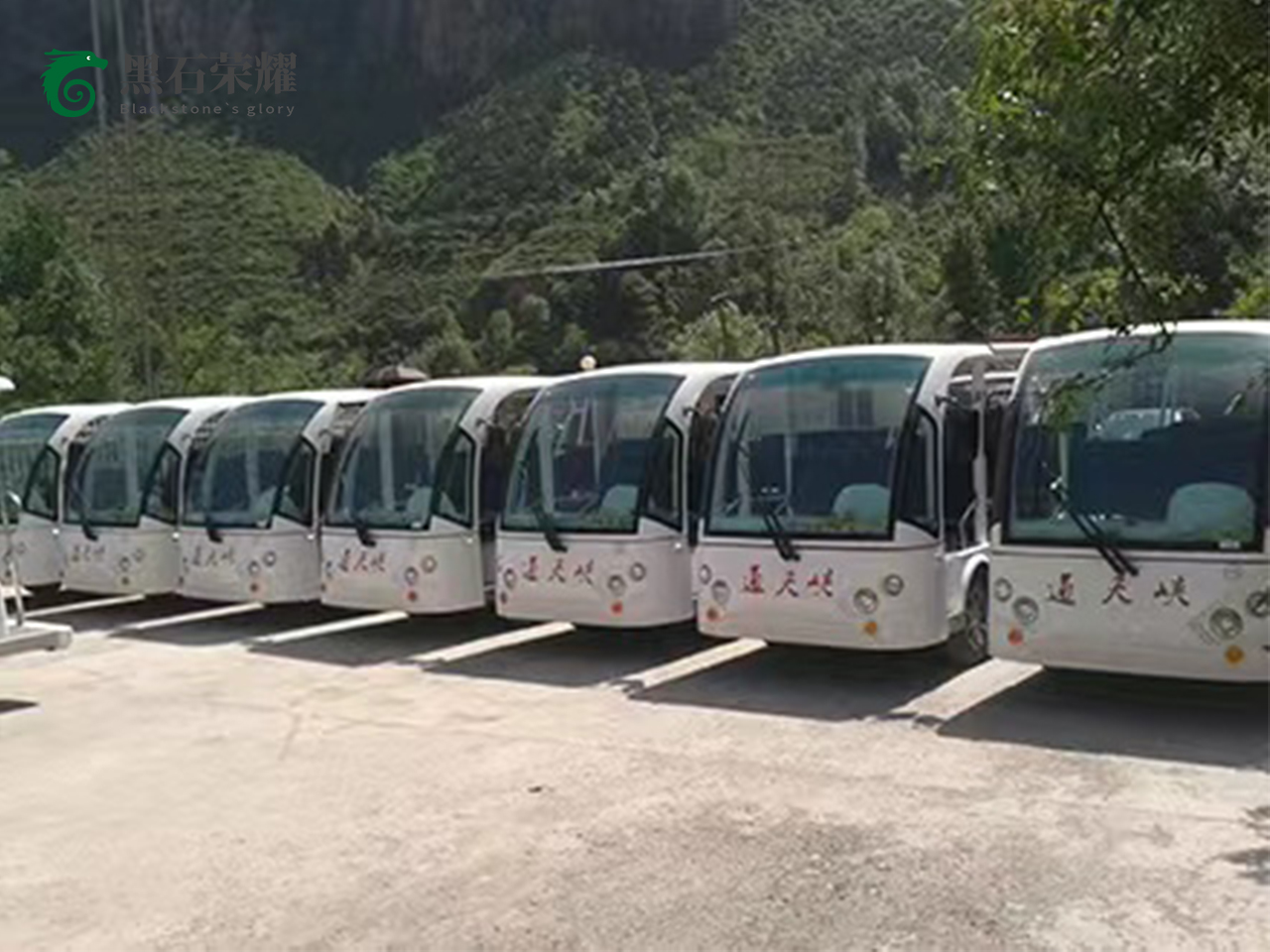 電動觀光車景區(qū)用系列