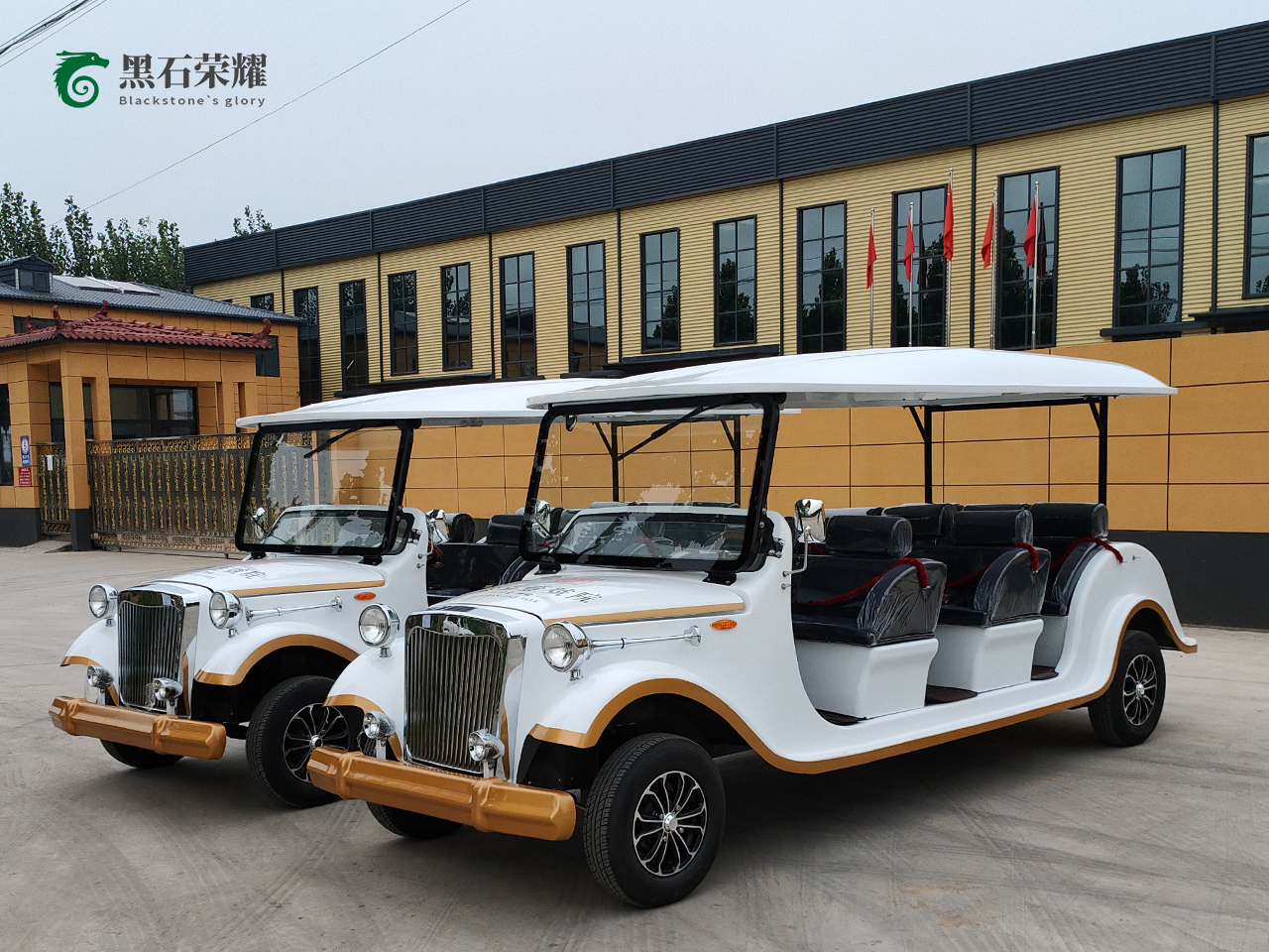 電動觀光車?yán)蠣斳囅盗?></a></i><div   id=