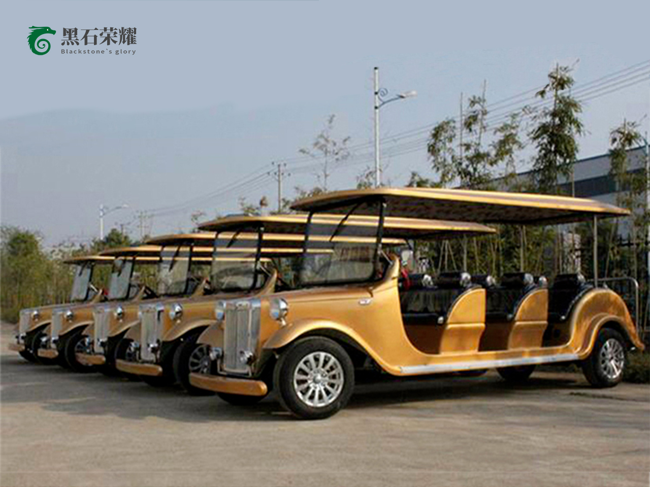 電動觀光車?yán)蠣斳囅盗?></a></i><div   id=