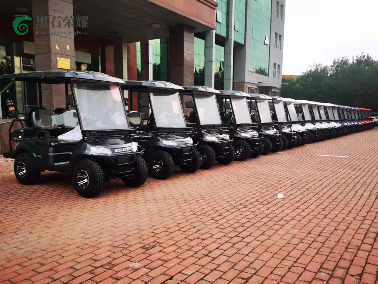 電動高爾夫球車